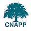 CNAPP logo, link to home page